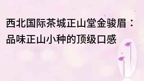 西北国际茶城正山堂金骏眉：品味正山小种的顶级口感