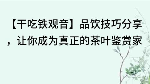 【干吃铁观音】品饮技巧分享，让你成为真正的茶叶鉴赏家