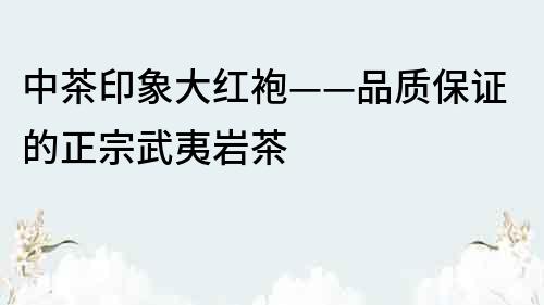 中茶印象大红袍——品质保证的正宗武夷岩茶