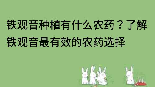 铁观音种植有什么农药？了解铁观音最有效的农药选择