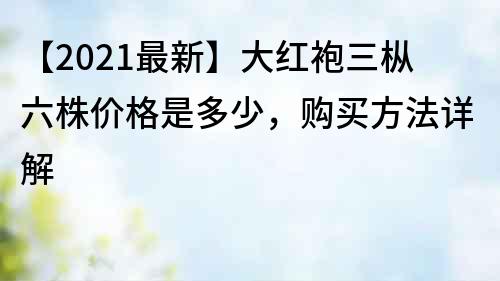 【2022最新】大红袍三枞六株价格是多少，购买方法详解