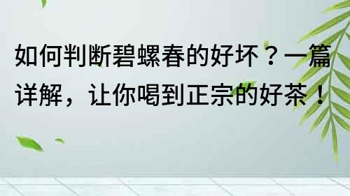 如何判断碧螺春的好坏？一篇详解，让你喝到正宗的好茶！