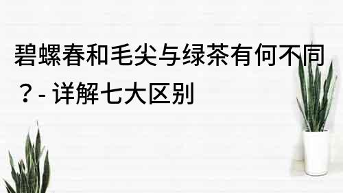 碧螺春和毛尖与绿茶有何不同？- 详解七大区别