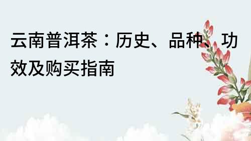 云南普洱茶：历史、品种、功效及购买指南