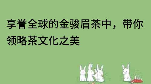 享誉全球的金骏眉茶中，带你领略茶文化之美