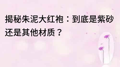 揭秘朱泥大红袍：到底是紫砂还是其他材质？