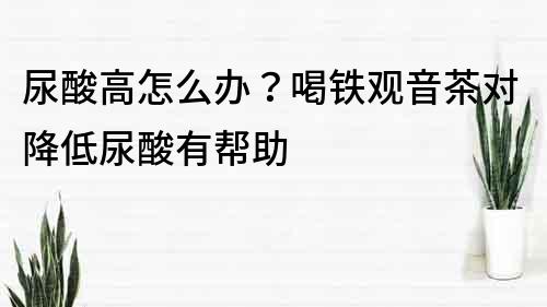 尿酸高怎么办？喝铁观音茶对降低尿酸有帮助