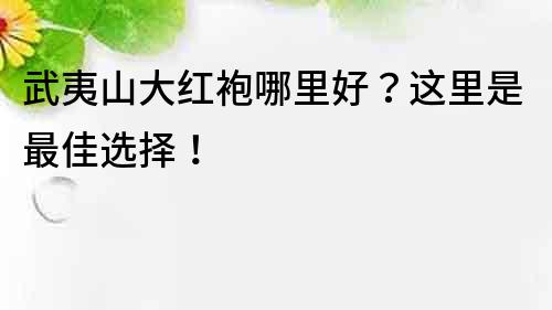 武夷山大红袍哪里好？这里是最佳选择！