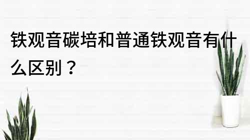 铁观音碳培和普通铁观音有什么区别？