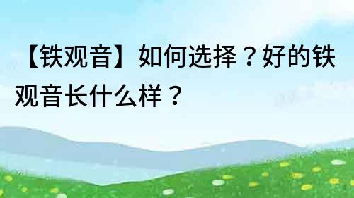 【铁观音】如何选择？好的铁观音长什么样？