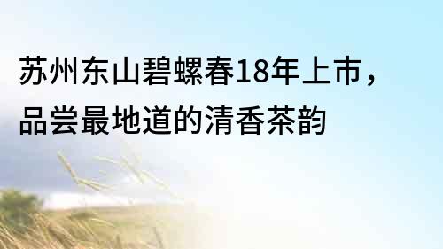 苏州东山碧螺春18年上市，品尝最地道的清香茶韵