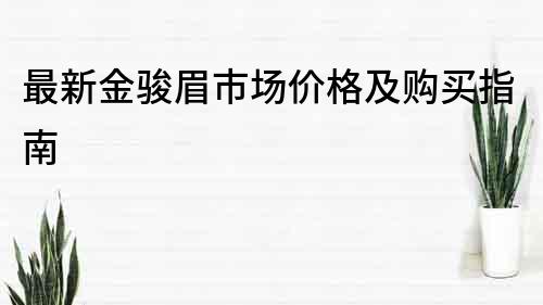 最新金骏眉市场价格及购买指南