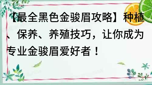 【最全黑色金骏眉攻略】种植、保养、养殖技巧，让你成为专业金骏眉爱好者！