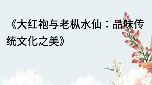 《大红袍与老枞水仙：品味传统文化之美》