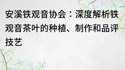 安溪铁观音协会：深度解析铁观音茶叶的种植、制作和品评技艺