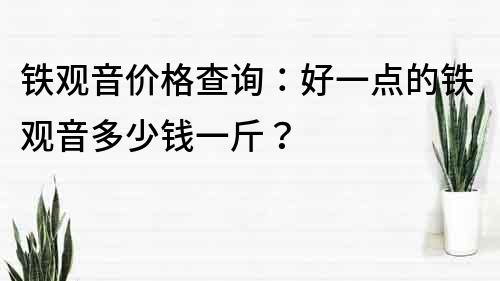 铁观音价格查询：好一点的铁观音多少钱一斤？