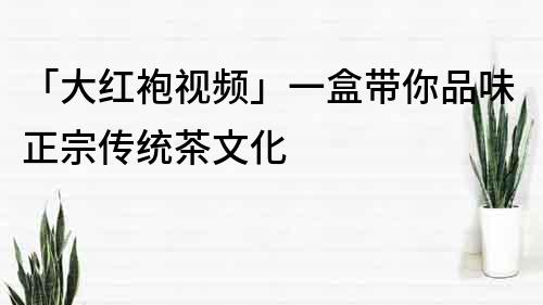 「大红袍视频」一盒带你品味正宗传统茶文化