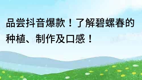 品尝抖音爆款！了解碧螺春的种植、制作及口感！