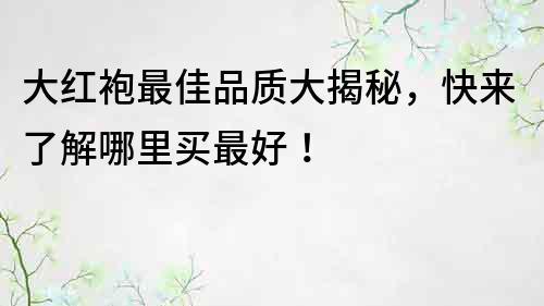 大红袍最佳品质大揭秘，快来了解哪里买最好！