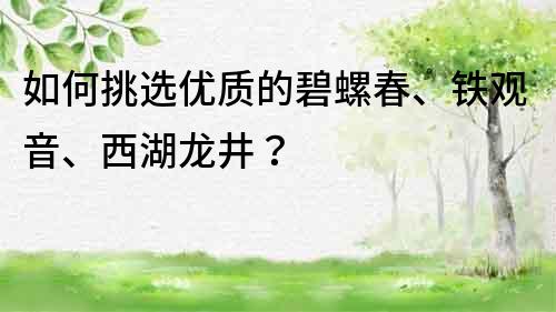 如何挑选优质的碧螺春、铁观音、西湖龙井？