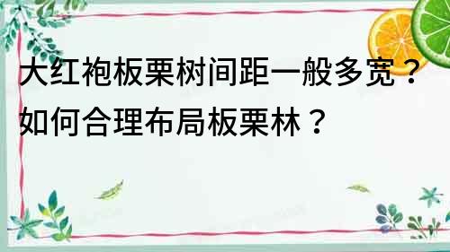 大红袍板栗树间距一般多宽？如何合理布局板栗林？