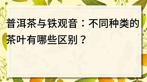 普洱茶与铁观音：不同种类的茶叶有哪些区别？