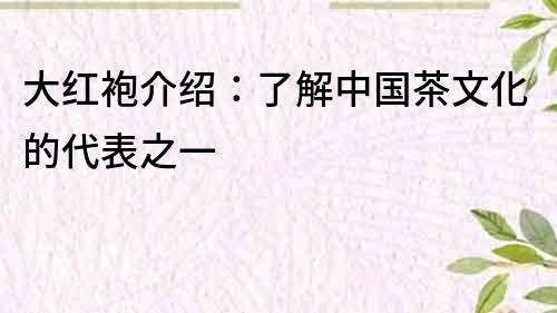 大红袍介绍：了解中国茶文化的代表之一