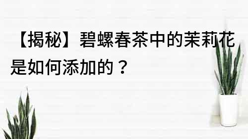 【揭秘】碧螺春茶中的茉莉花是如何添加的？