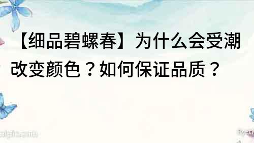 【细品碧螺春】为什么会受潮改变颜色？如何保证品质？