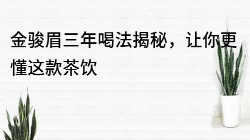 金骏眉三年喝法揭秘，让你更懂这款茶饮