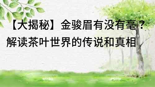 【大揭秘】金骏眉有没有毫？解读茶叶世界的传说和真相