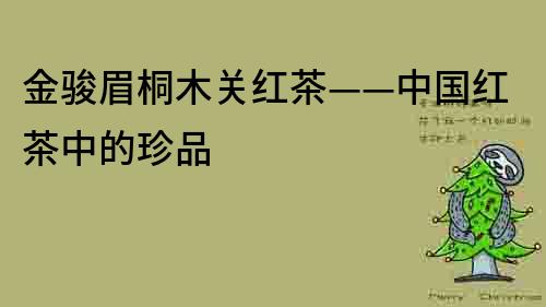 金骏眉桐木关红茶——中国红茶中的珍品