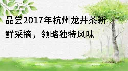 品尝2017年杭州龙井茶新鲜采摘，领略独特风味