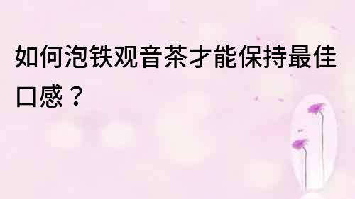 如何泡铁观音茶才能保持最佳口感？