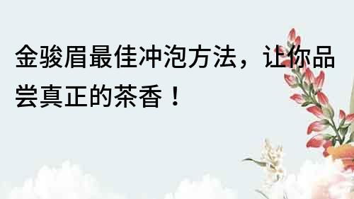 金骏眉最佳冲泡方法，让你品尝真正的茶香！