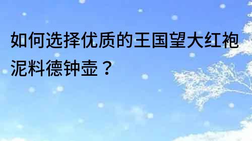 如何选择优质的王国望大红袍泥料德钟壶？