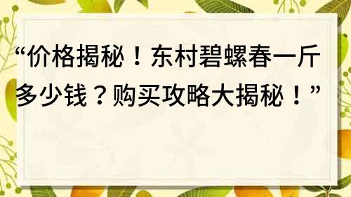 “价格揭秘！东村碧螺春一斤多少钱？购买攻略大揭秘！”