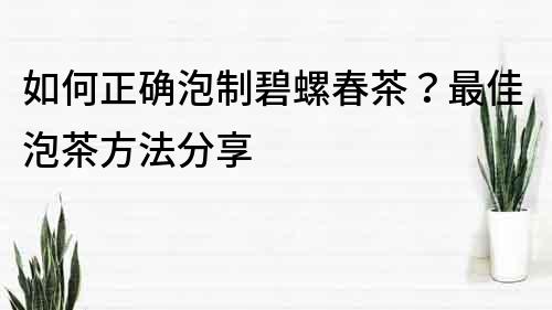 如何正确泡制碧螺春茶？最佳泡茶方法分享