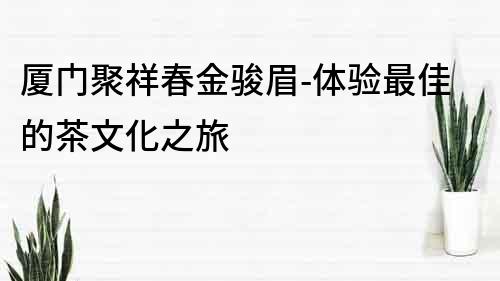 厦门聚祥春金骏眉-体验最佳的茶文化之旅