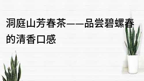 洞庭山芳春茶——品尝碧螺春的清香口感