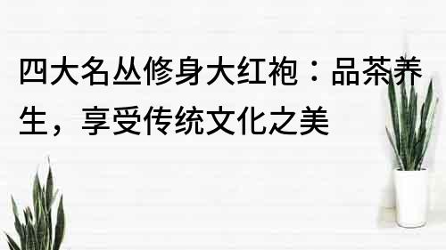 四大名丛修身大红袍：品茶养生，享受传统文化之美