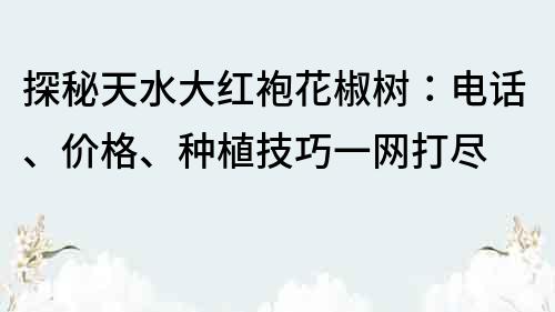 探秘天水大红袍花椒树：电话、价格、种植技巧一网打尽