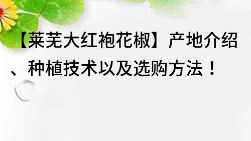 【莱芜大红袍花椒】产地介绍、种植技术以及选购方法！