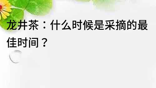 龙井茶：什么时候是采摘的最佳时间？