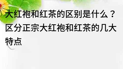 大红袍和红茶的区别是什么？区分正宗大红袍和红茶的几大特点