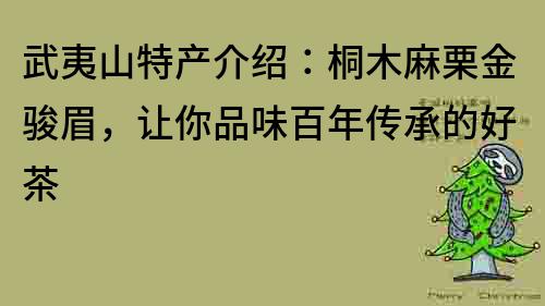 武夷山特产介绍：桐木麻栗金骏眉，让你品味百年传承的好茶