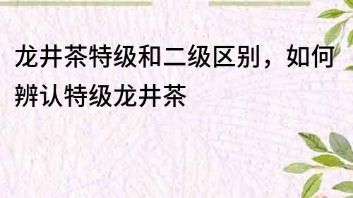 龙井茶特级和二级区别，如何辨认特级龙井茶