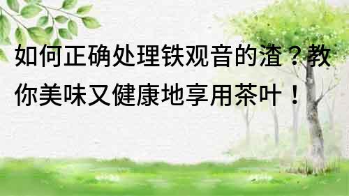 如何正确处理铁观音的渣？教你美味又健康地享用茶叶！