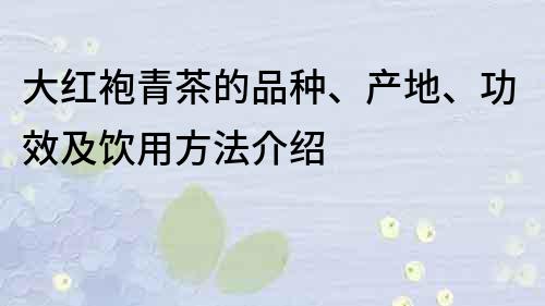 大红袍青茶的品种、产地、功效及饮用方法介绍