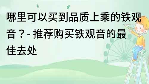 哪里可以买到品质上乘的铁观音？- 推荐购买铁观音的最佳去处